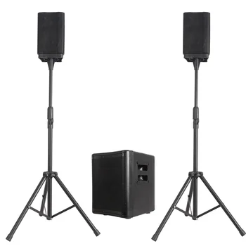900 Вт 10-дюймовый Активный сабвуфер Линейный динамик Профессиональный аудио караоке наборы система DJ/PA party Sound box Bocina Parlante